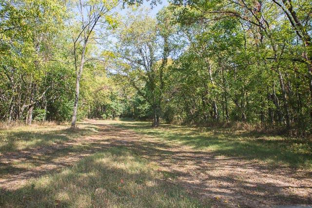 6319 Cox Road Arrington, TN 37014 - Photo 20 of 30 Some wooded areas.