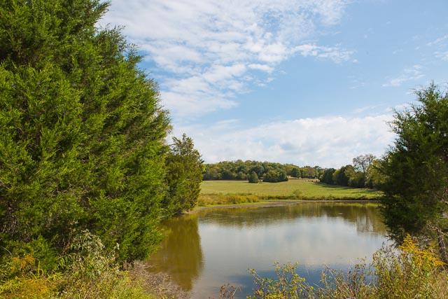 6319 Cox Road Arrington, TN 37014 - Photo 25 of 30