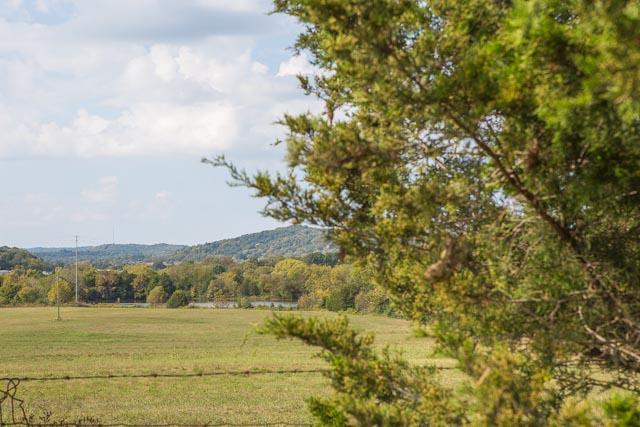 6319 Cox Road Arrington, TN 37014 - Photo 28 of 30