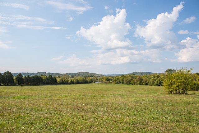 6319 Cox Road Arrington, TN 37014 - Photo 7 of 30 Front field.