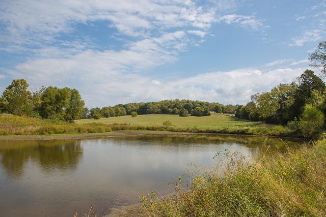 6319 Cox Road Arrington, TN 37014 - Photo 9 of 30