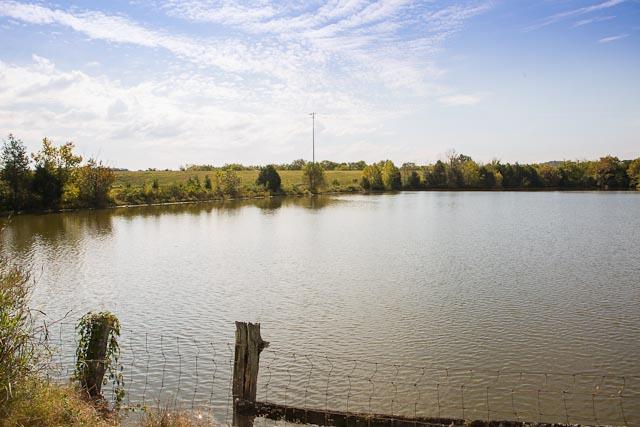 6319 Cox Road Arrington, TN 37014 - Photo 10 of 30