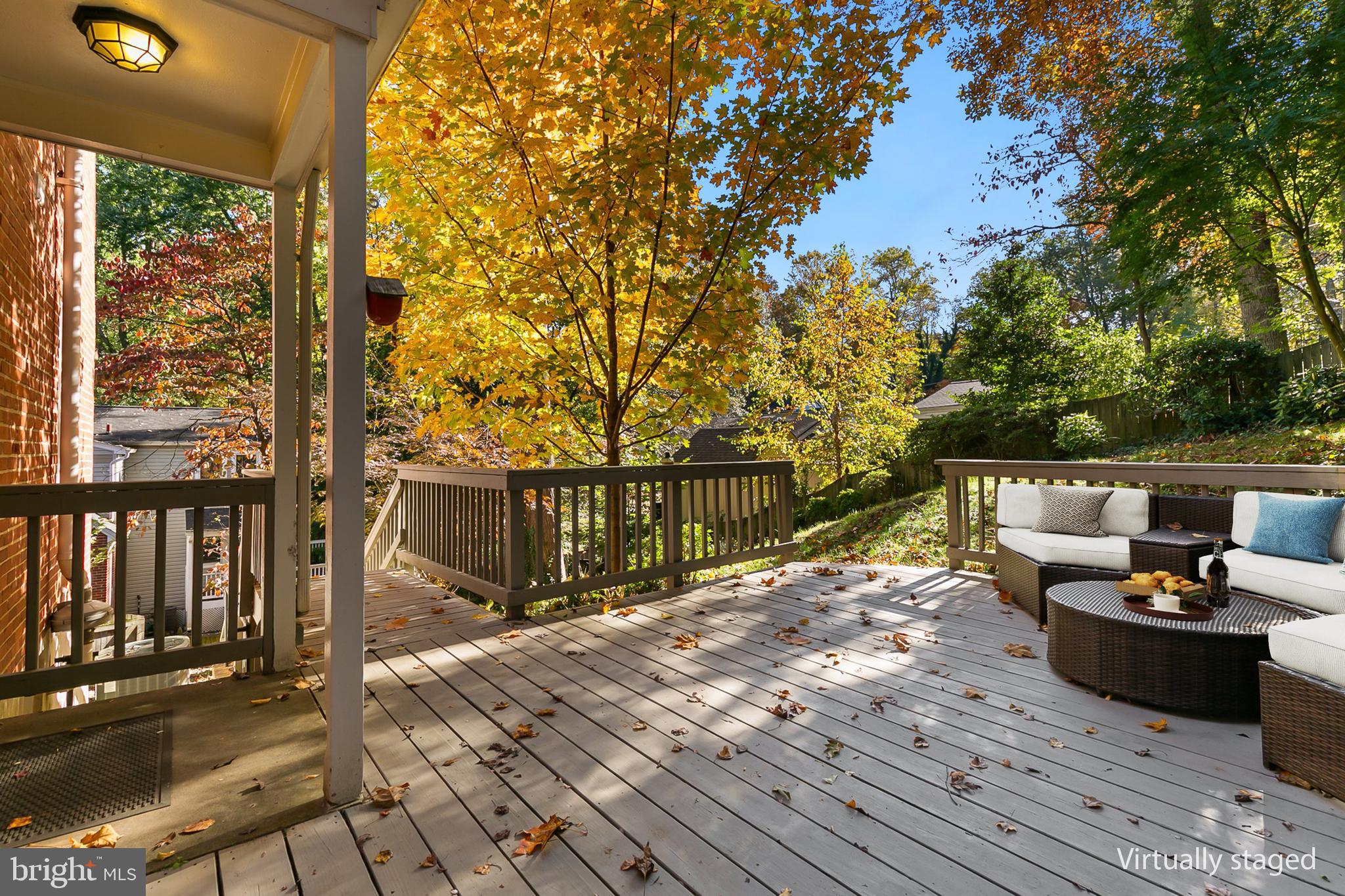 409 Hillmoor Drive Silver Spring, MD 20901 - Photo 52 of 56