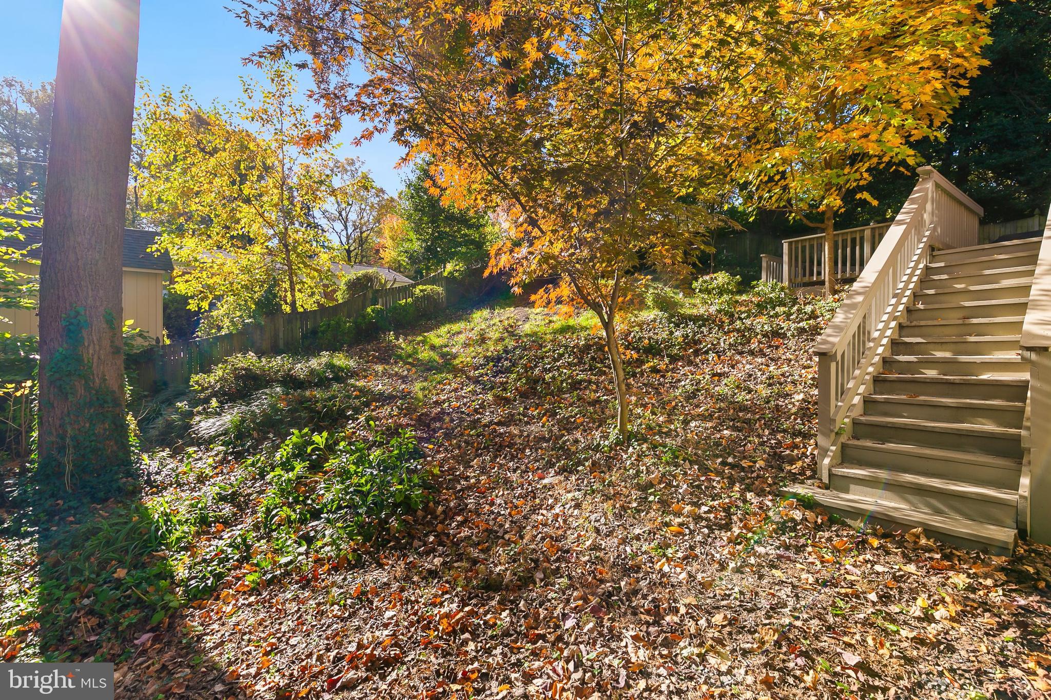 409 Hillmoor Drive Silver Spring, MD 20901 - Photo 53 of 56