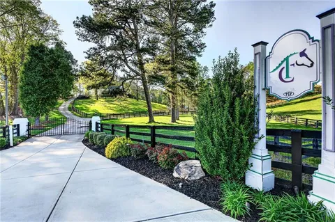 a view of a yard with plants and large trees