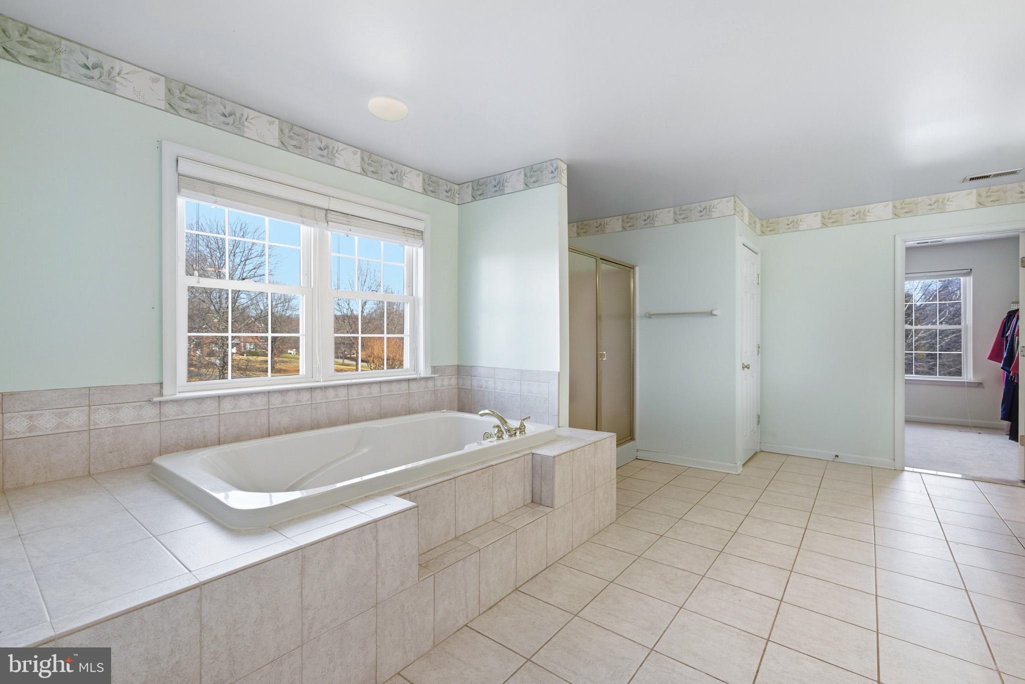 12110 Longleaf Lane Dunkirk, MD 20754 - Photo 38 of 67 Shower and separate soaking tub