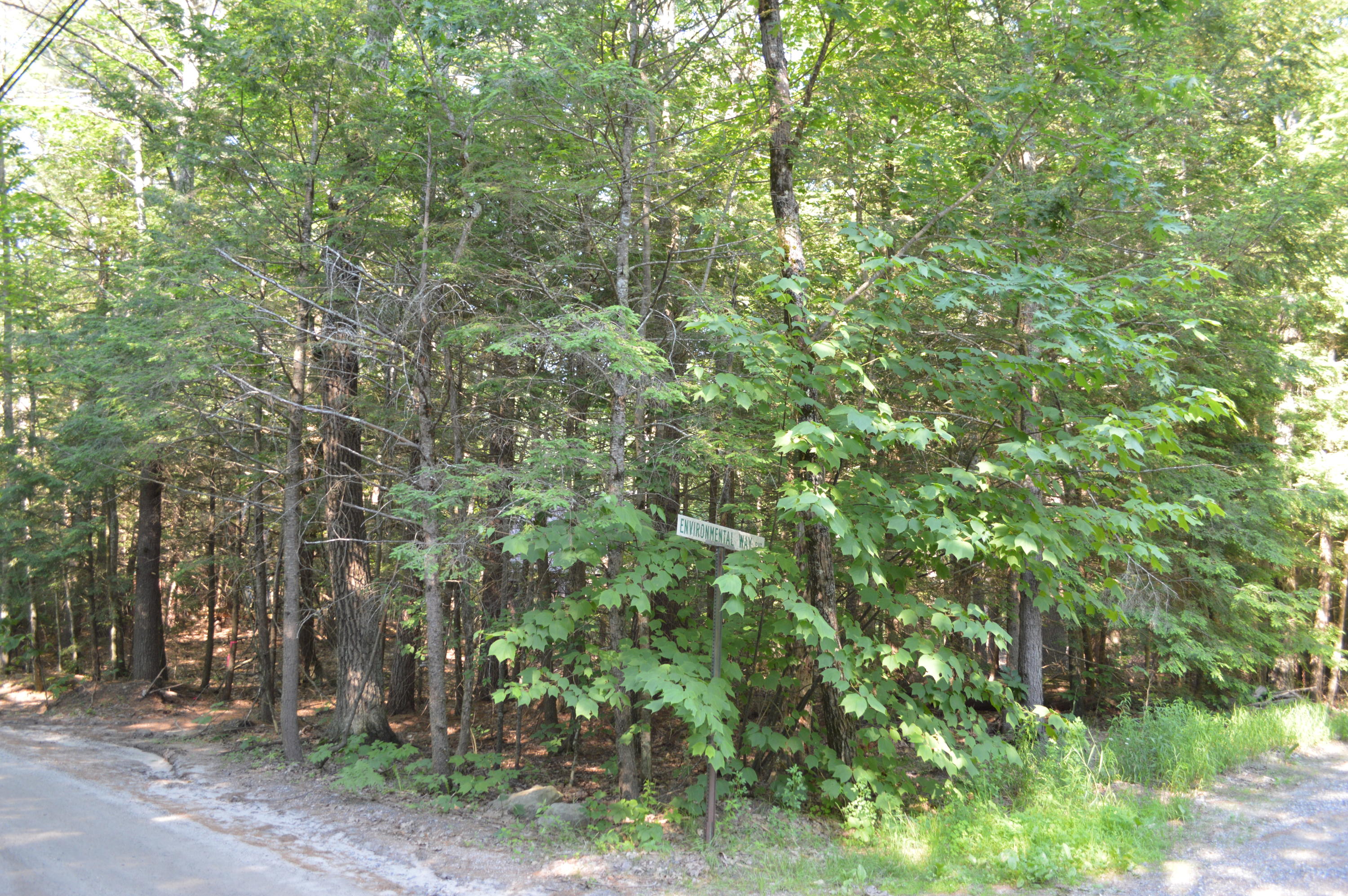 0 Environmental Windham, ME 04062 - Photo 11 of 19 DSC_0427