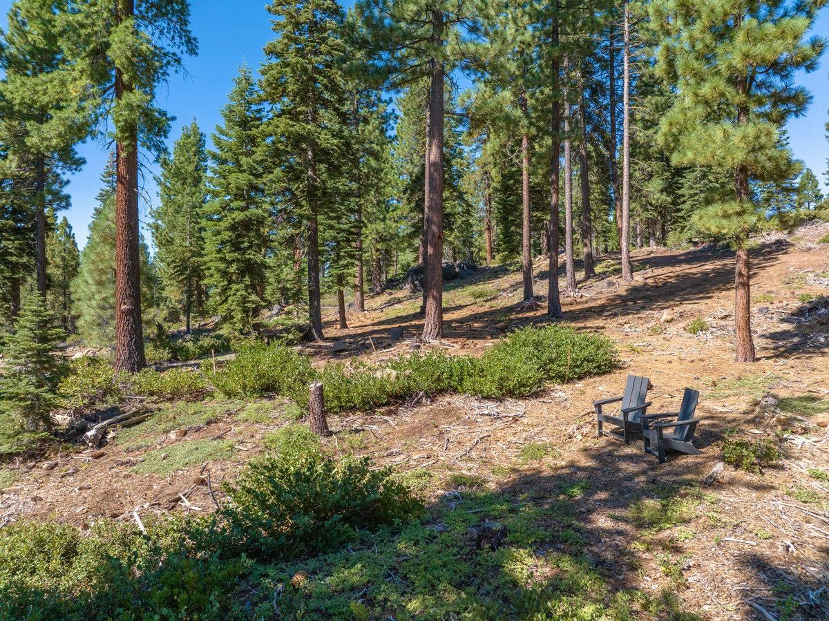 11494 Alder Hill Road Truckee, CA 96161 - Photo 18 of 27 a view of a park with large trees