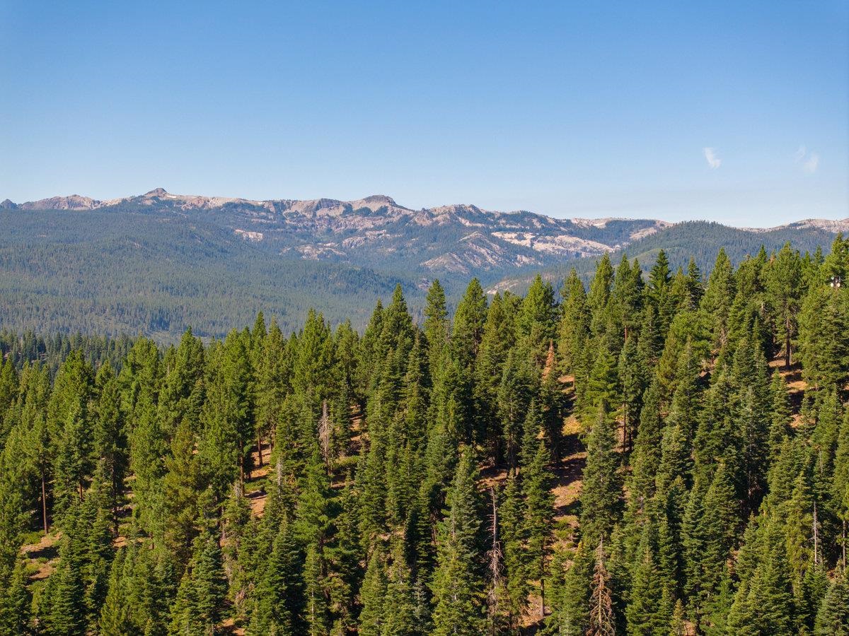 11494 Alder Hill Road Truckee, CA 96161 - Photo 19 of 27 a view of a city with a mountain