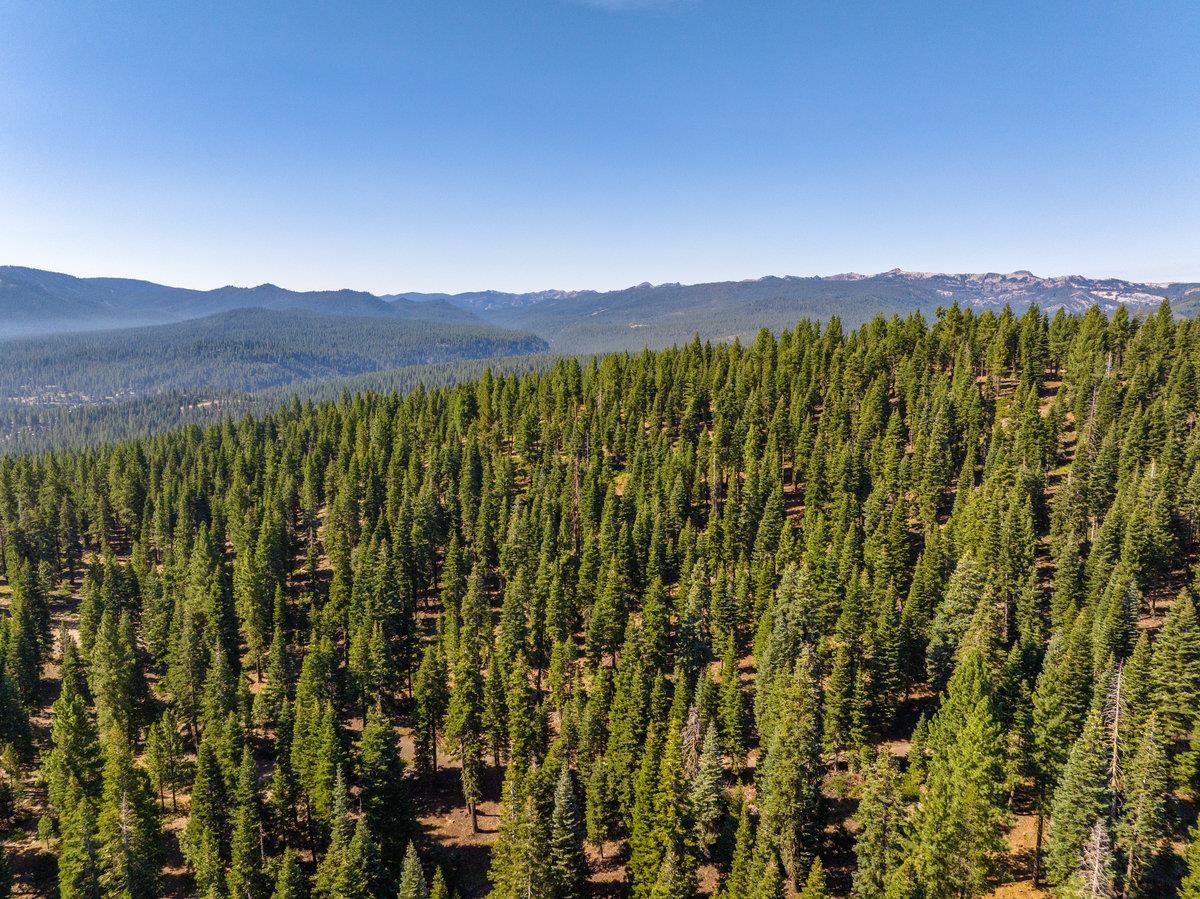11494 Alder Hill Road Truckee, CA 96161 - Photo 20 of 27 a view of a city with lush green forest