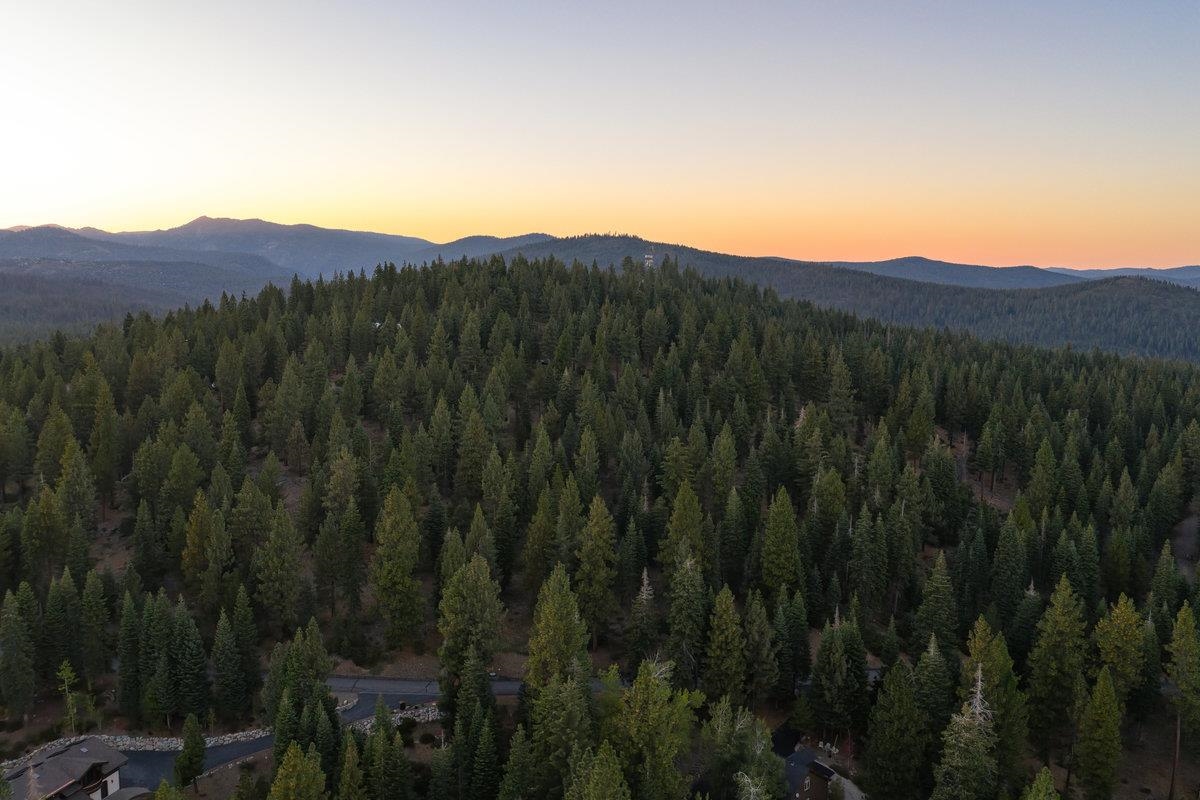 11494 Alder Hill Road Truckee, CA 96161 - Photo 2 of 27 a view of a lush green hillside and a mountain view