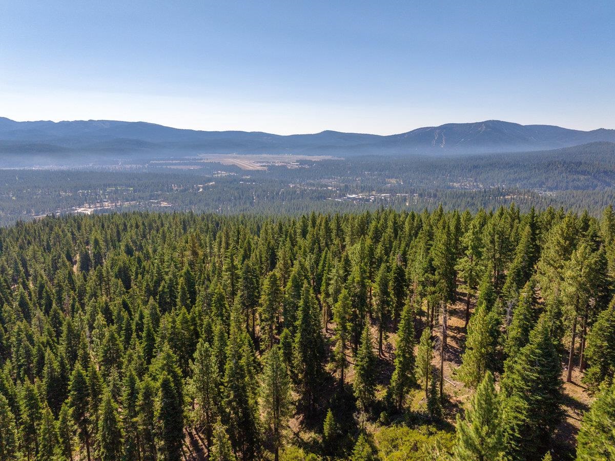 11494 Alder Hill Road Truckee, CA 96161 - Photo 22 of 27 a view of a lush green hillside and a houses