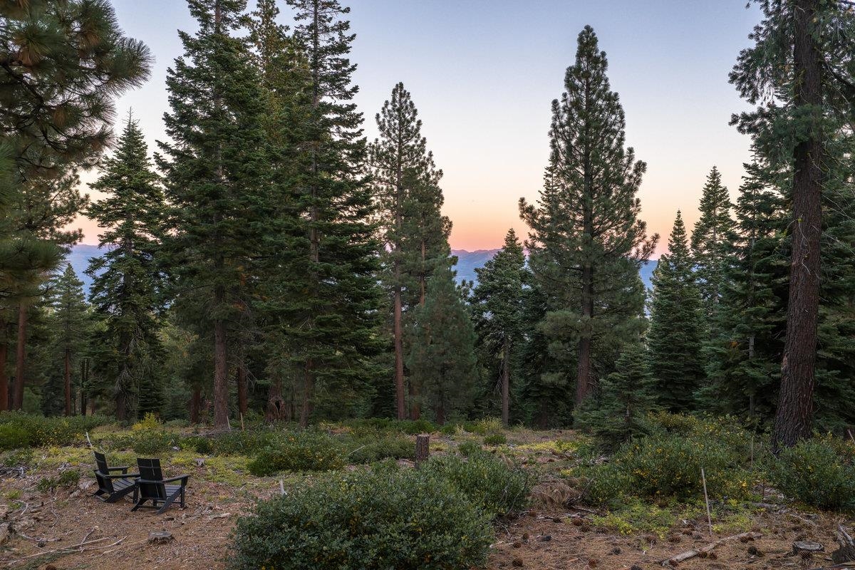 11494 Alder Hill Road Truckee, CA 96161 - Photo 26 of 27 a view of outdoor space with lots of trees