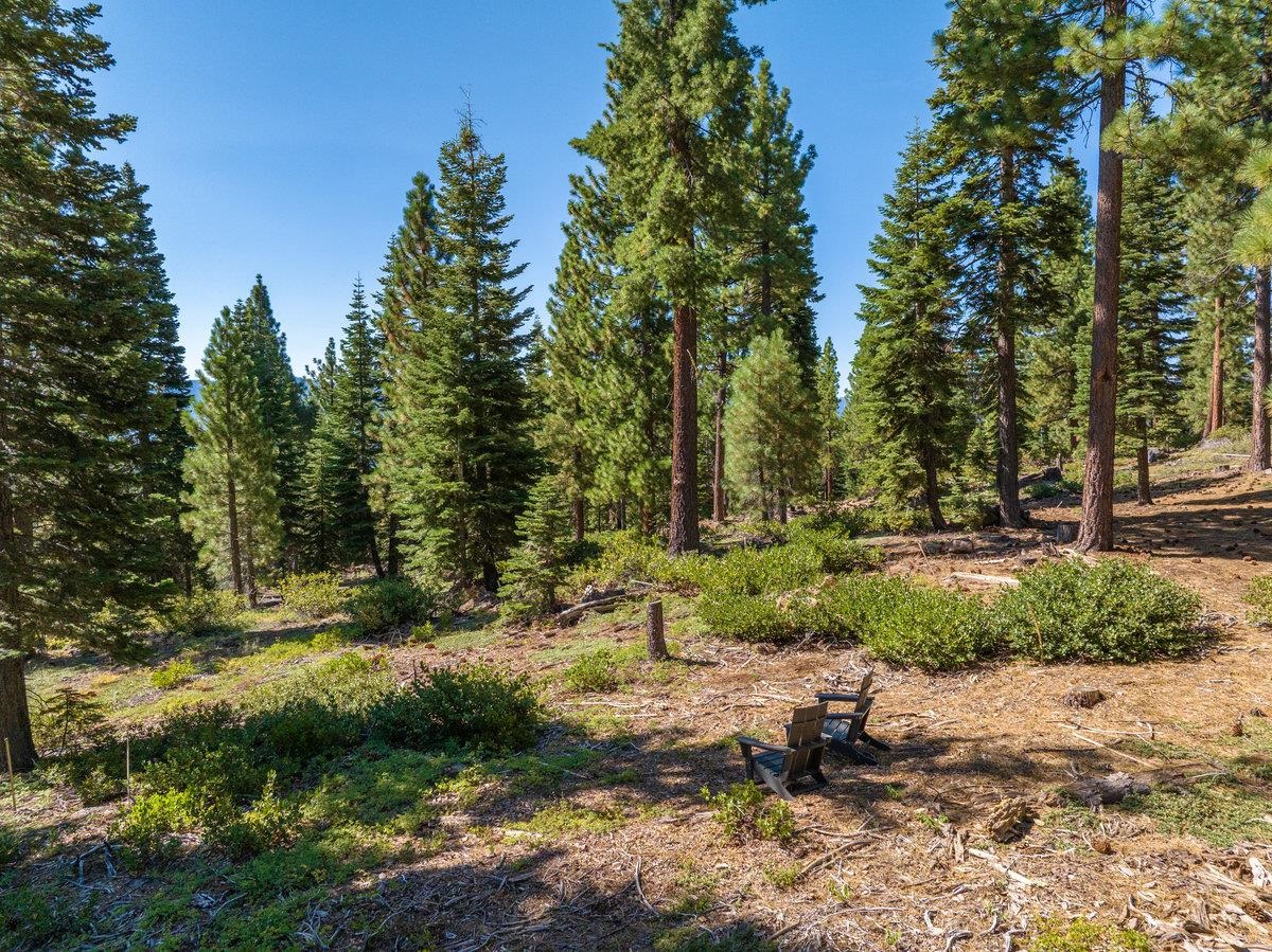 11494 Alder Hill Road Truckee, CA 96161 - Photo 8 of 27 a view of backyard