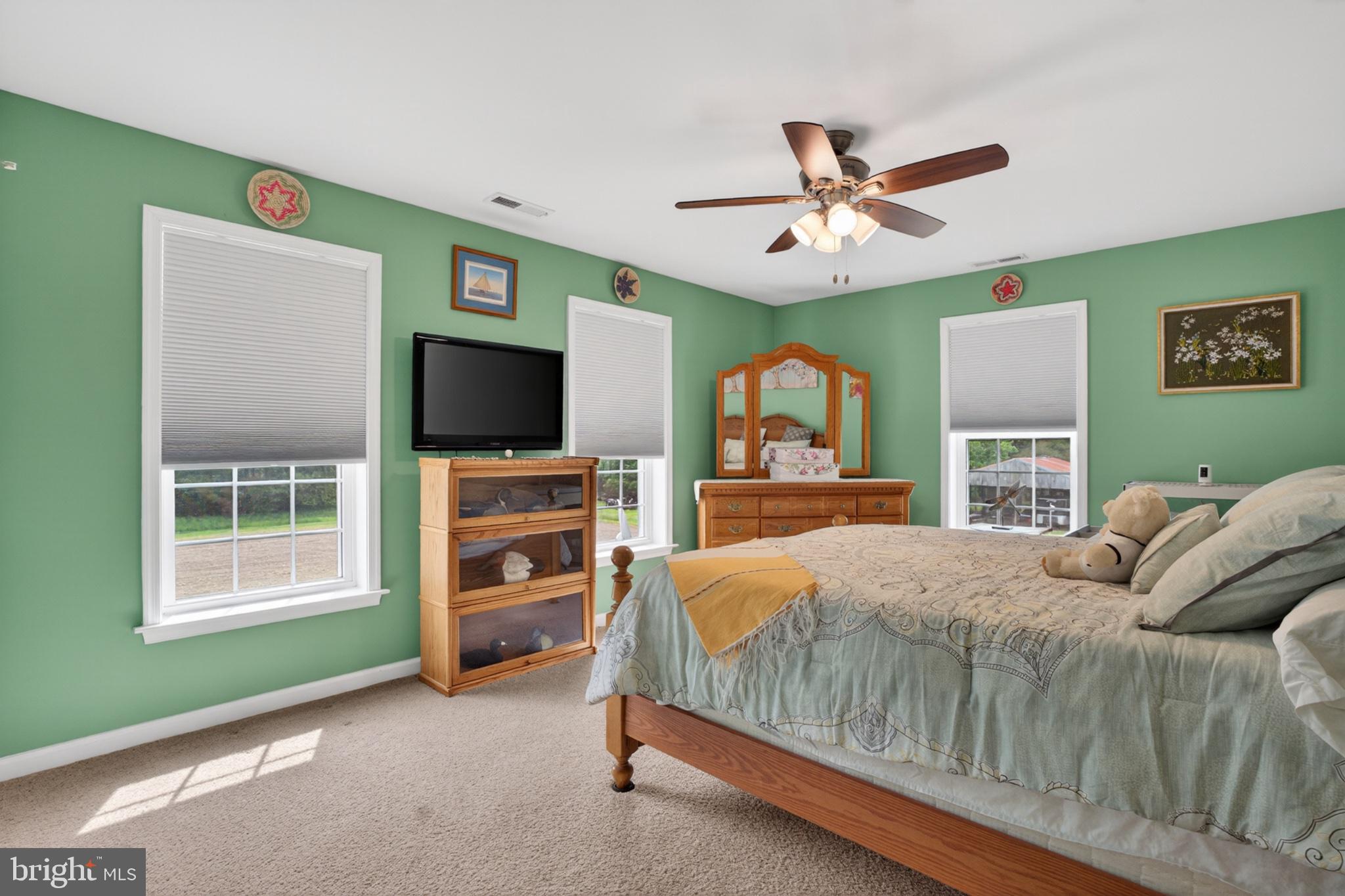 2435 Payne Road Pocomoke City, MD 21851 - Photo 52 of 75 Serene green retreat for restful nights.