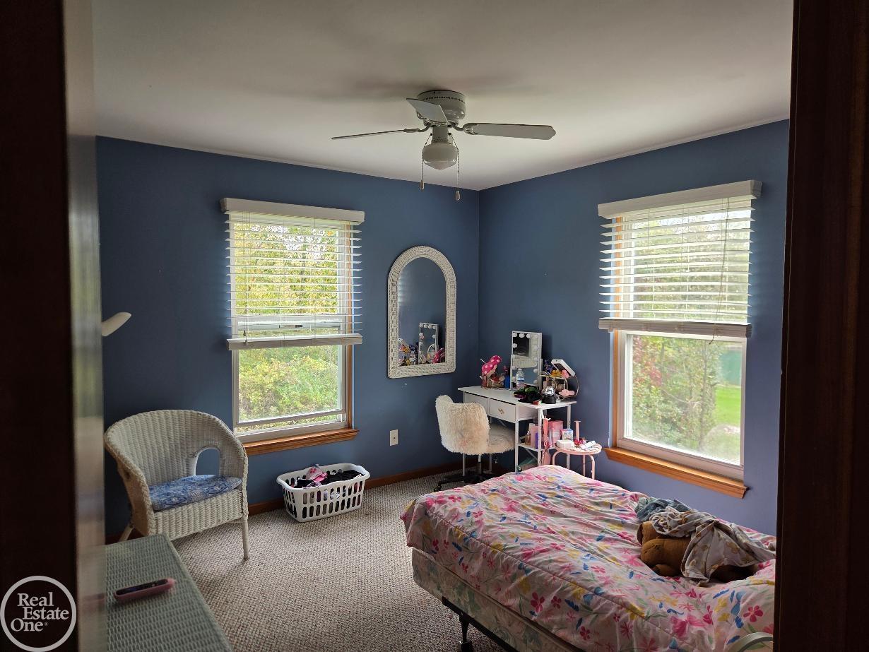 9017 Meisner Road Casco, MI 48064 - Photo 30 of 62 Gallery Image 30