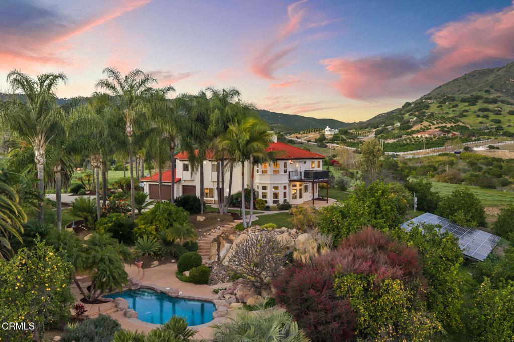 a view of a town with palm trees