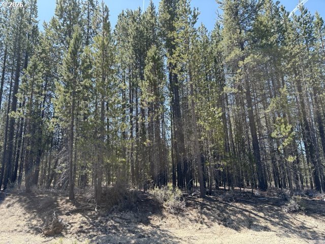 27 Surveyor Road Crescent Lake, OR 97733 - Photo 2 of 10