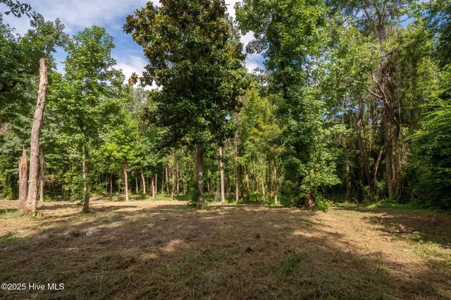 $97,900 | 133 Hwy Rocky Point, Rocky Point, NC 28457