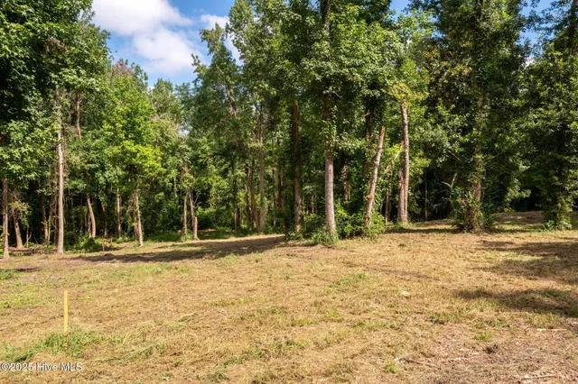 $97,900 | 133 Hwy Rocky Point, Rocky Point, NC 28457