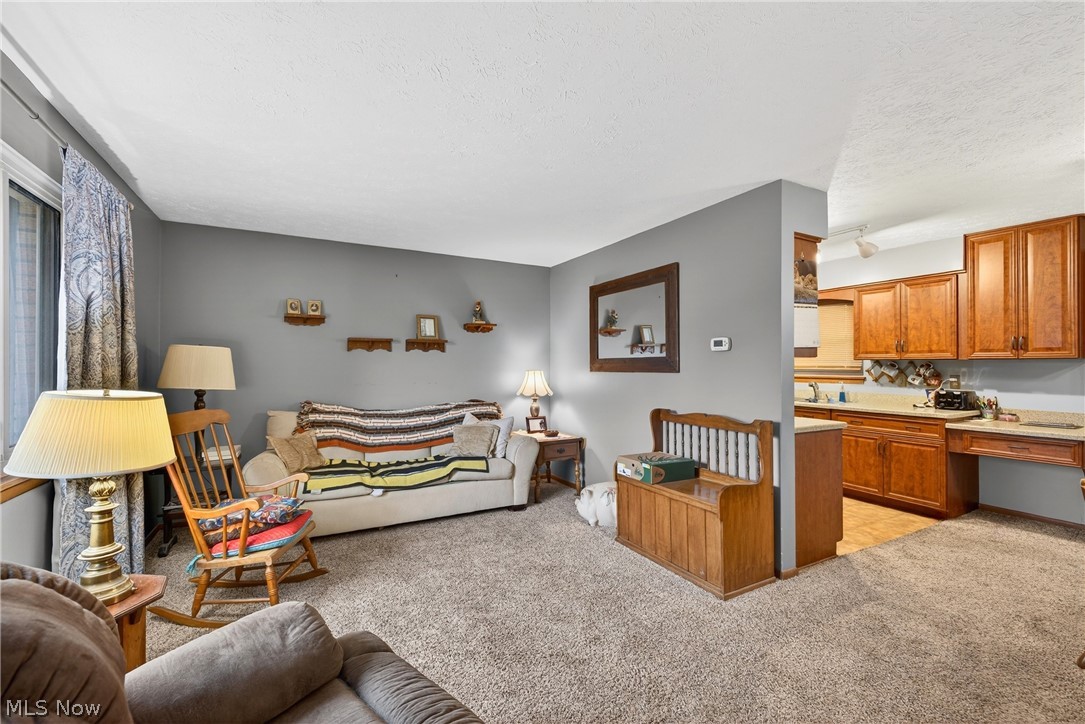 4404 Florida Street Perry, OH 44081 - Photo 4 of 24 Living area featuring light colored carpet and a textured ceiling