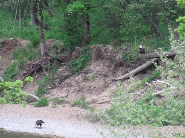 $850,000 | 82 Idlewild Road, Steelville, MO 65565