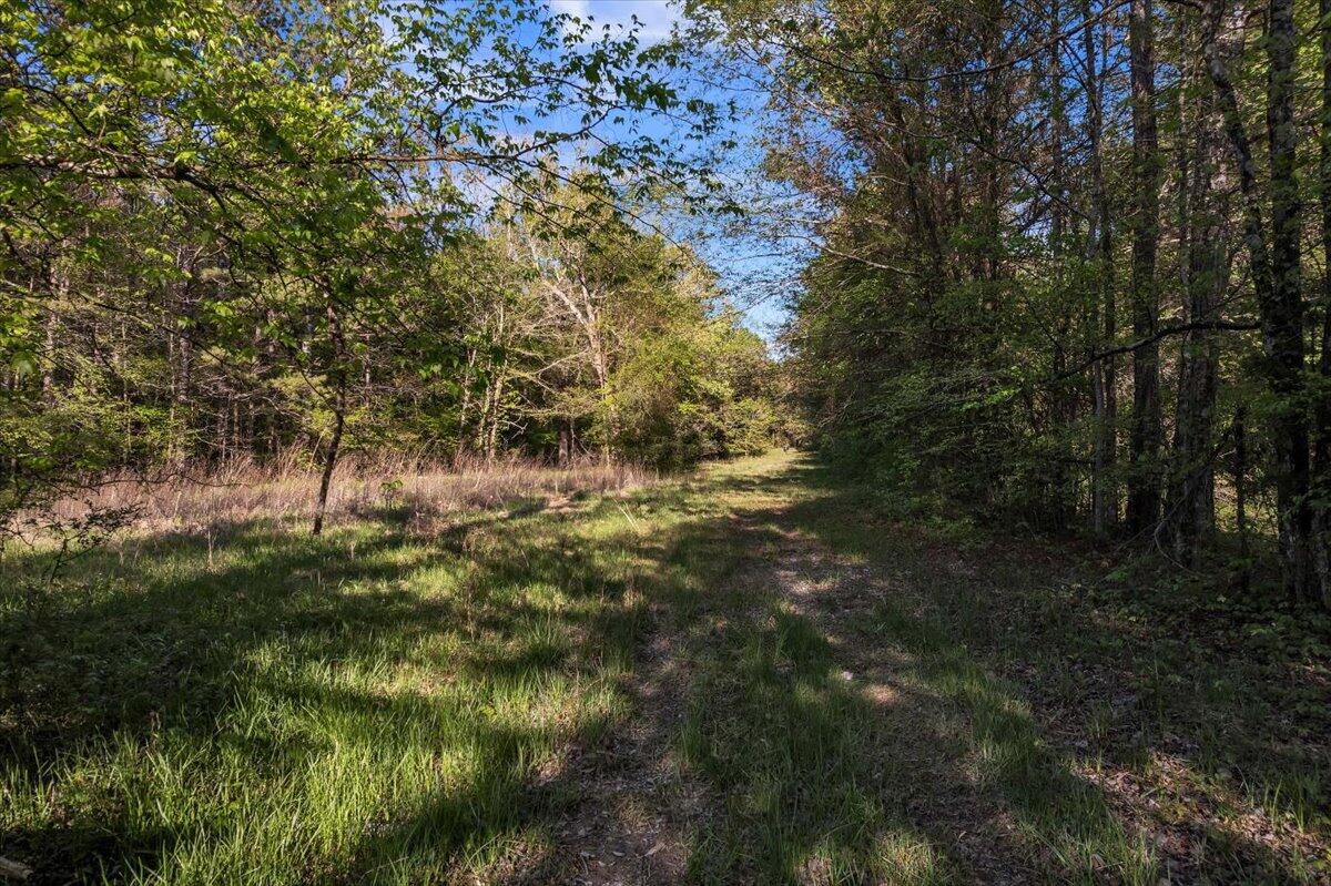 205-ac Maddron Road Crandall, GA 30711 - Photo 24 of 25 28-DJI_0991