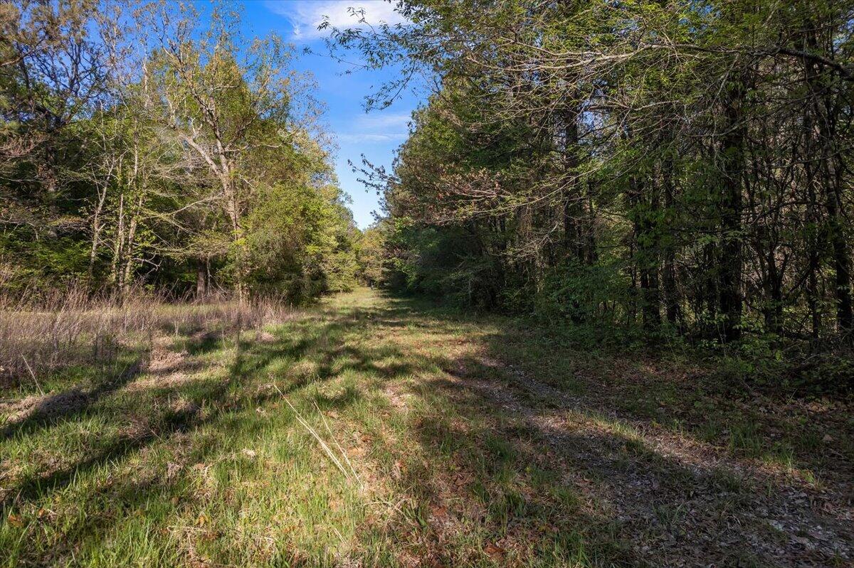 205-ac Maddron Road Crandall, GA 30711 - Photo 25 of 25 29-DJI_0996
