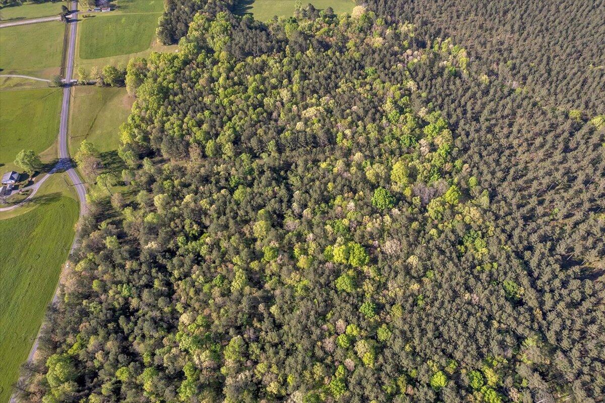 205-ac Maddron Road Crandall, GA 30711 - Photo 5 of 25 09-DJI_0891