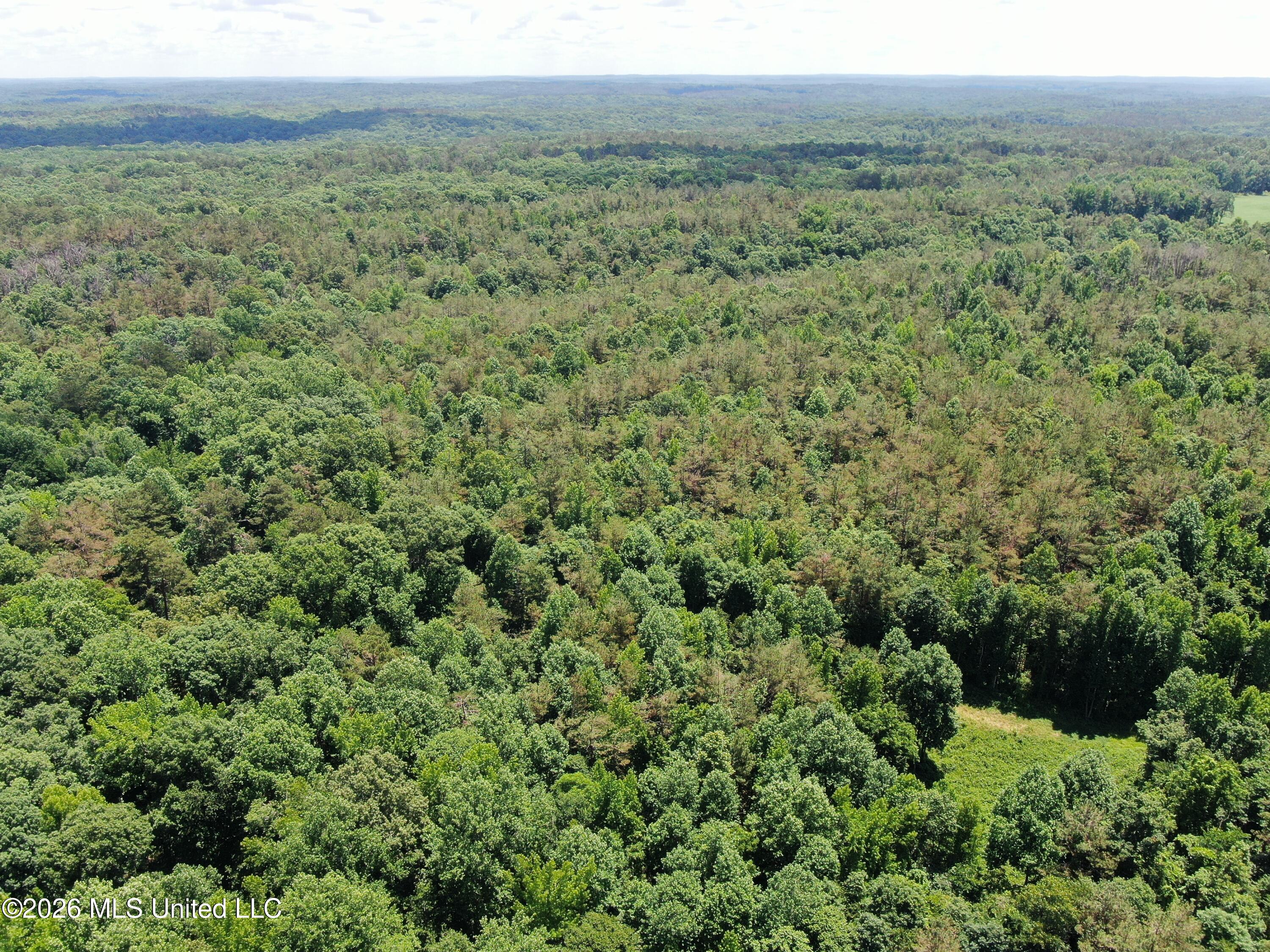 0 Scruggs Road Holly Springs, MS 38635 - Photo 4 of 25 DJI_0031
