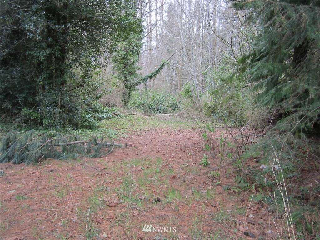 4300 Phillips Road Southeast Port Orchard, WA 98366 - Photo 1 of 5 Gallery Image 1