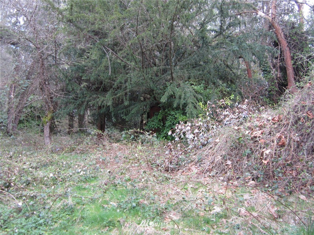 4300 Phillips Road Southeast Port Orchard, WA 98366 - Photo 3 of 5 Gallery Image 3