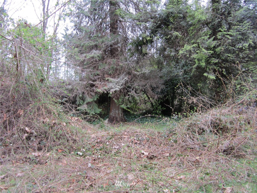 4300 Phillips Road Southeast Port Orchard, WA 98366 - Photo 4 of 5 Gallery Image 4