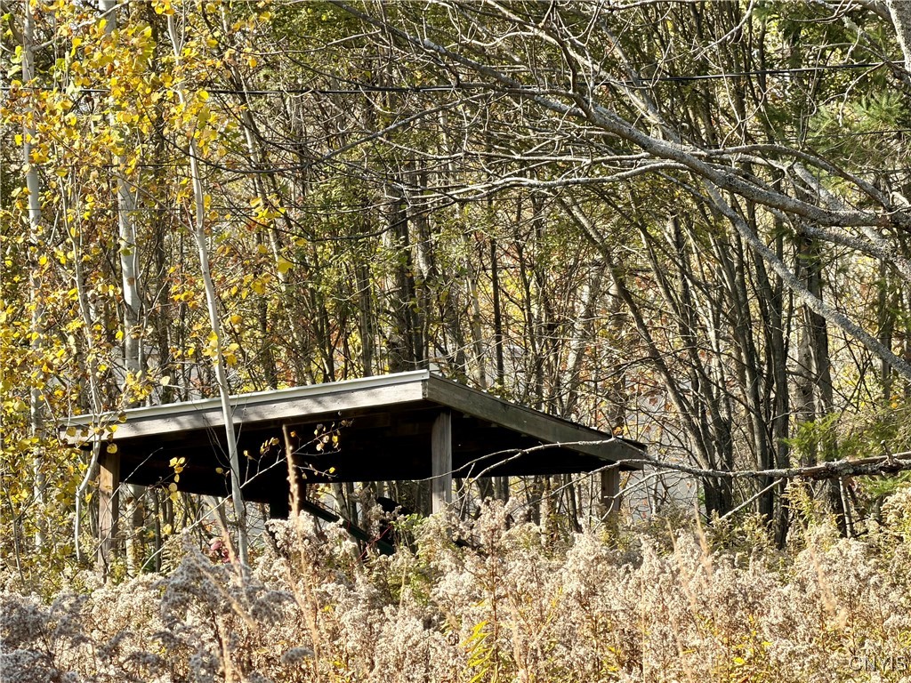 4895 Rogers Crossing Road Croghan, NY 13619 - Photo 3 of 8