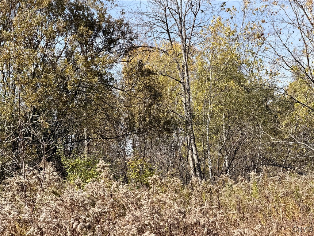 4895 Rogers Crossing Road Croghan, NY 13619 - Photo 4 of 8