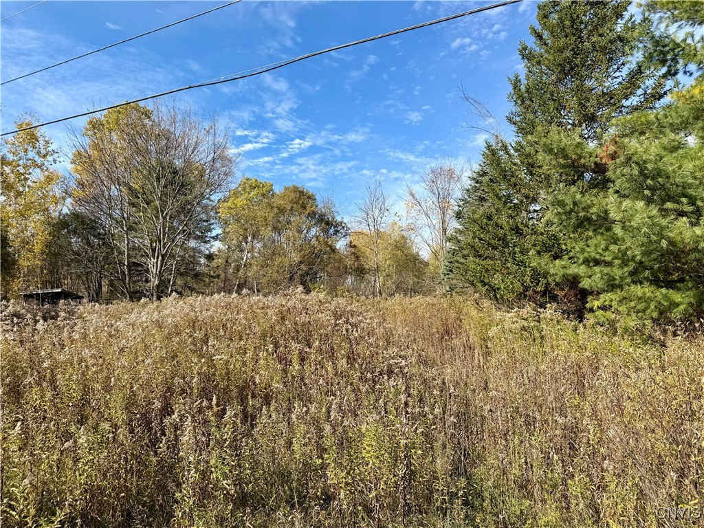 4895 Rogers Crossing Road Croghan, NY 13619 - Photo 5 of 8