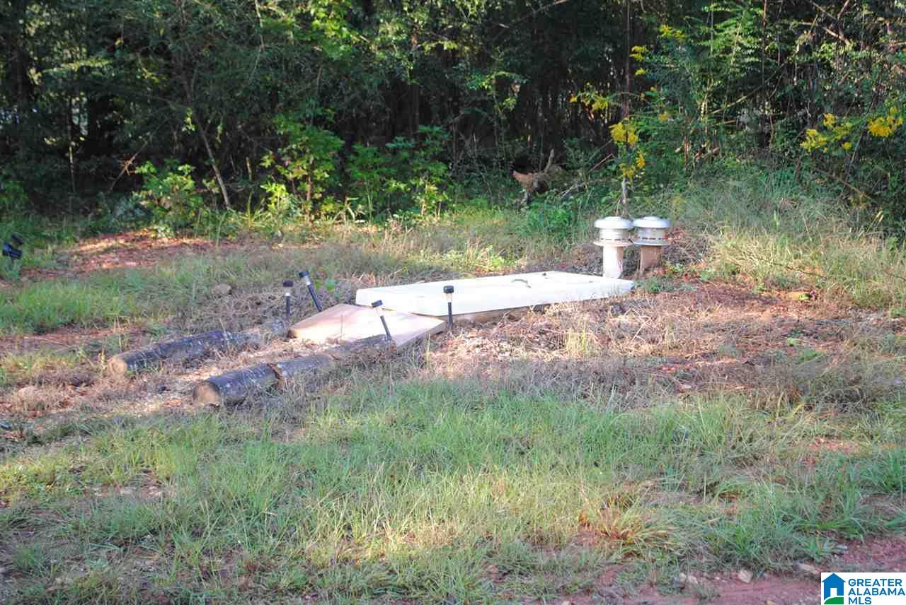 986 County Road 156 Jemison, AL 35085 - Photo 19 of 19
