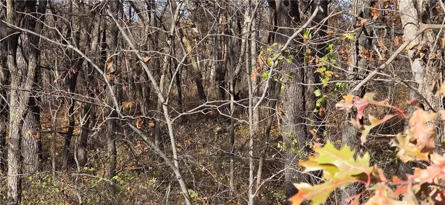 $385,200 | 180 N/a, Bosworth, MO 64623