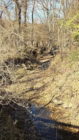 $385,200 | 180 N/a, Bosworth, MO 64623