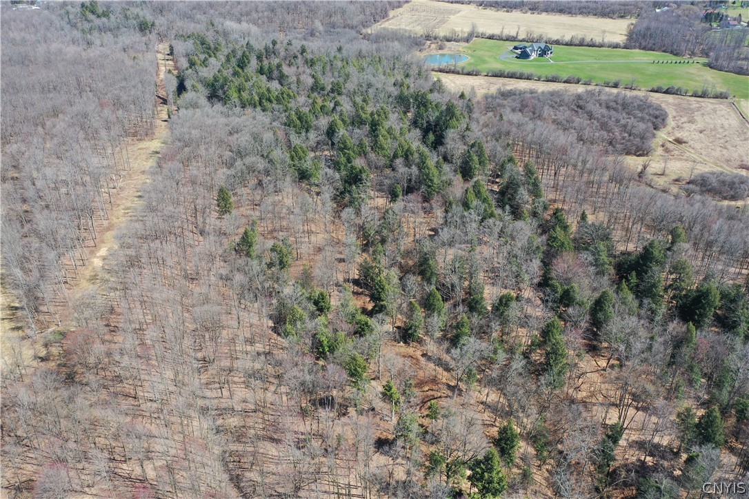 Chapman Road New Hartford, NY 13413 - Photo 11 of 19