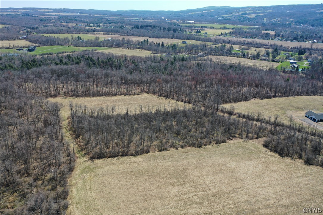 Chapman Road New Hartford, NY 13413 - Photo 4 of 19