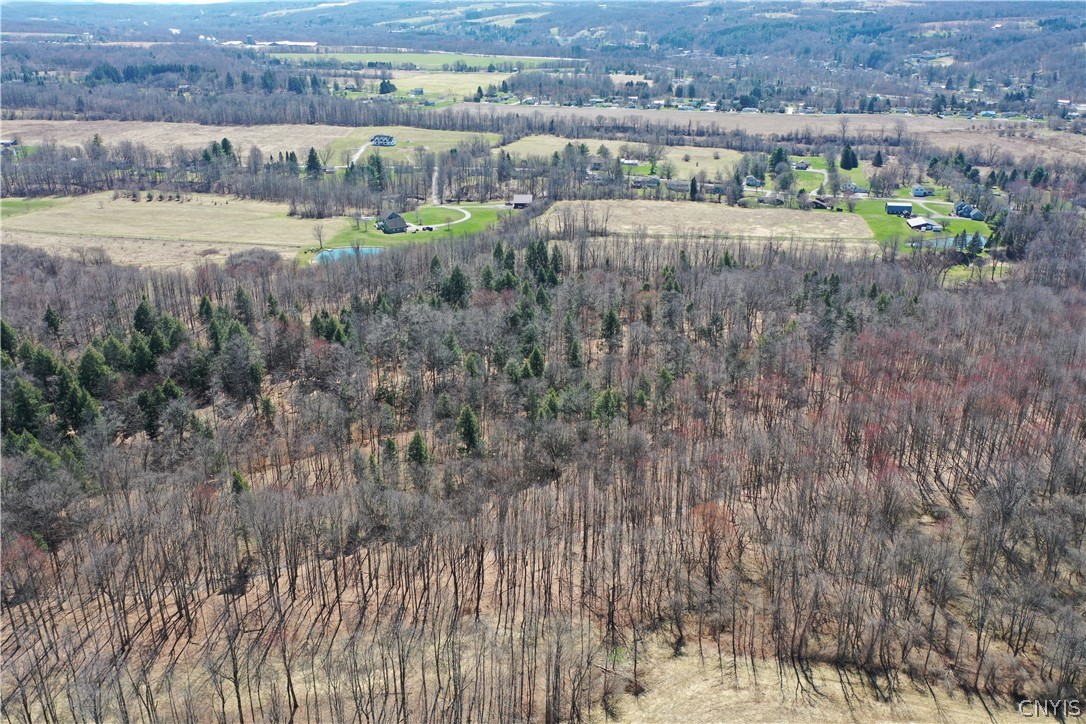 Chapman Road New Hartford, NY 13413 - Photo 5 of 19