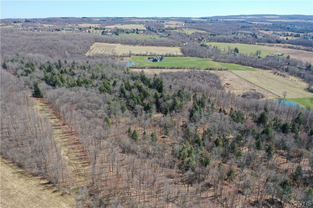 Chapman Road New Hartford, NY 13413 - Photo 7 of 19