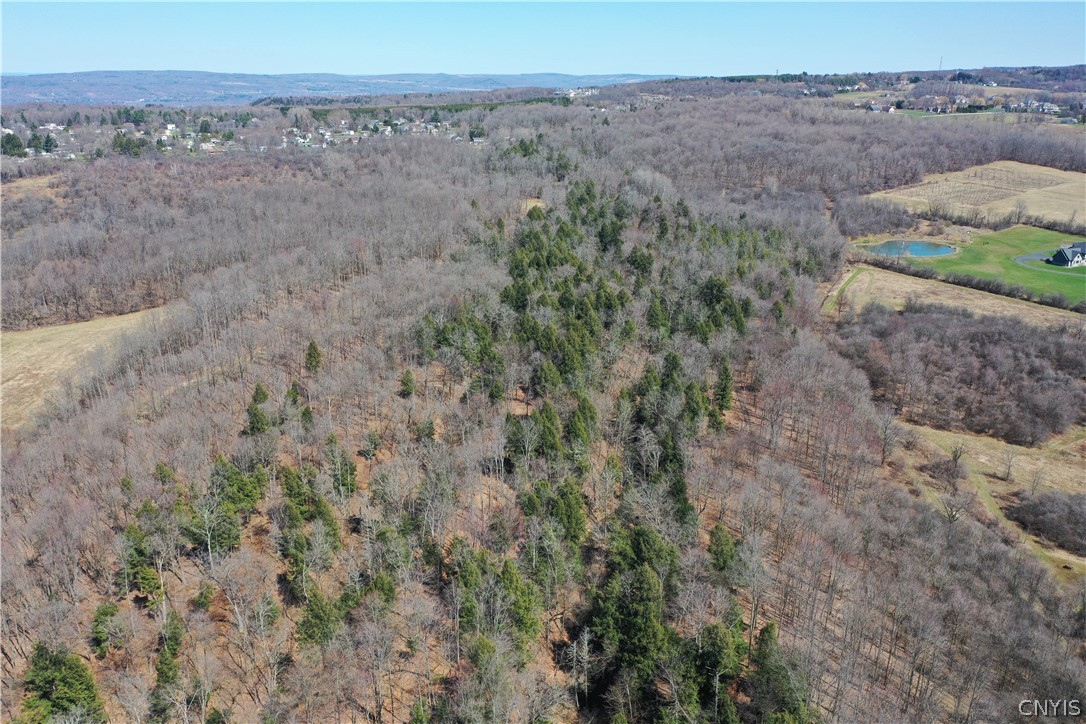 Chapman Road New Hartford, NY 13413 - Photo 10 of 19