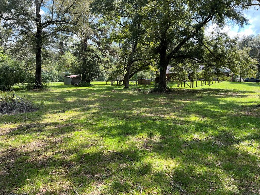 11053 Baham Road Folsom, LA 70437 - Photo 5 of 15