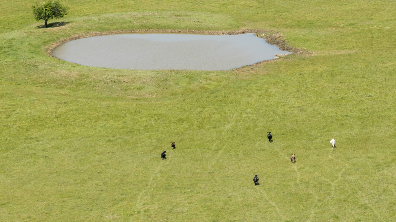 17-acres Smith Dairy Road Belton, TX 76513 - Photo 17 of 28 a view of a swimming pool and window