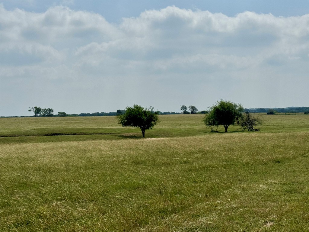 17-acres Smith Dairy Road Belton, TX 76513 - Photo 20 of 28
