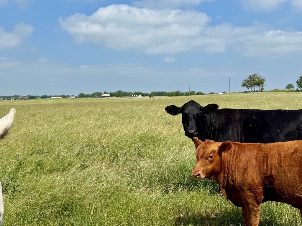 17-acres Smith Dairy Road Belton, TX 76513 - Photo 24 of 28 a view of a large body of water and mountain