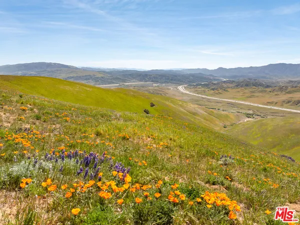 $1,450,000 | Vac Vic Gorman Post Road, Lebec, CA 93243