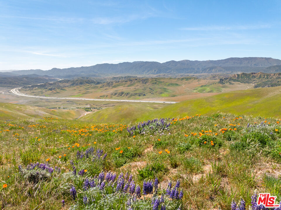 Vac Vic Gorman Post Road Lebec, CA 93243 - Photo 30 of 32